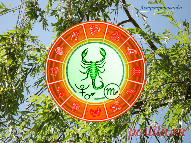 ✨♏ Гороскоп для Скорпиона с 27 июня по 31 июля 2022 ✧
♏✨ Автор: астролог Нина Стрелкова. 
✧ Период разгадывания тайн, проникновения в неведомое. Неплохо также решать юридические вопросы, обращаться в различные инстанции. Будьте сдержаннее в своих высказываниях, особенно если они касаются политики или общественной морали...