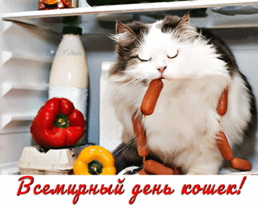 Всем хвостатым-полосатым
Здравия желаю,
А хозяев с днем кошек
Нежно поздравляю!