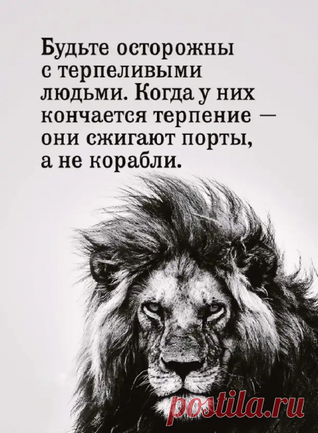 Меткие фразы от людей, которые не боятся открыто говорить о своих проблемах - ЭпиЦентр позитива - медиаплатформа МирТесен