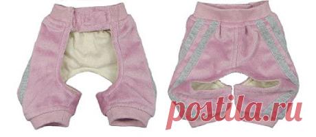 Patrones de pantalones para perro | Mimi y Tara | Patrones de ropa para perros