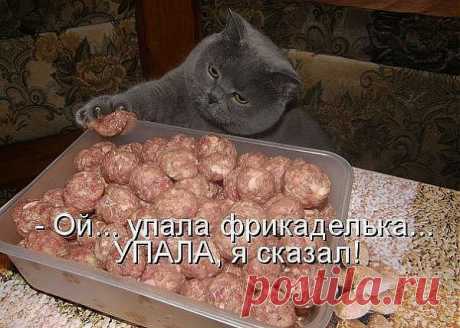 хитрюга