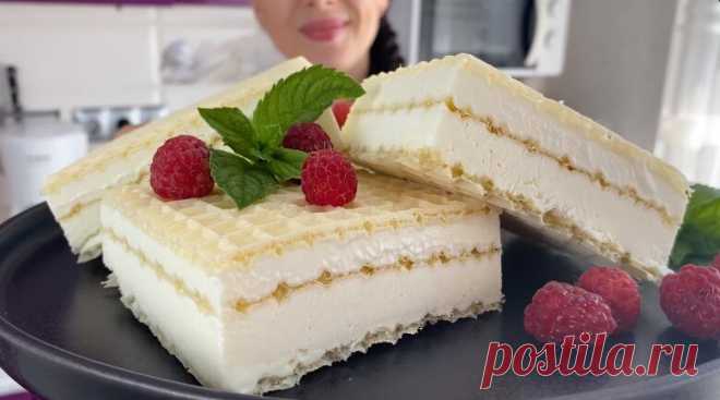 Домашнее мороженое из двух продуктов: на приготовление трачу 5 минут, а вкусное такое получается, что мне всегда хочется добавки | Цветкова Наталья | Дзен