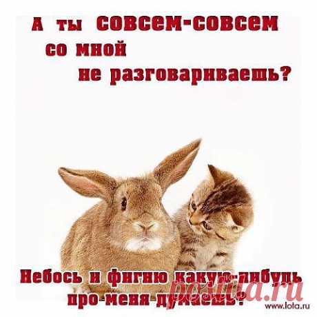 (1) Одноклассники