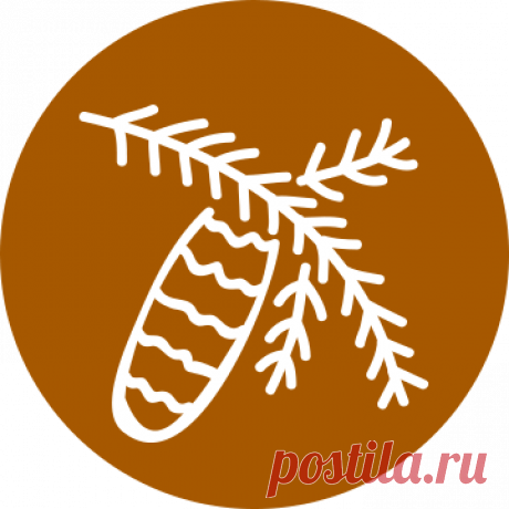 Гороскоп ДРУИДОВ по деревьям и дате рождения