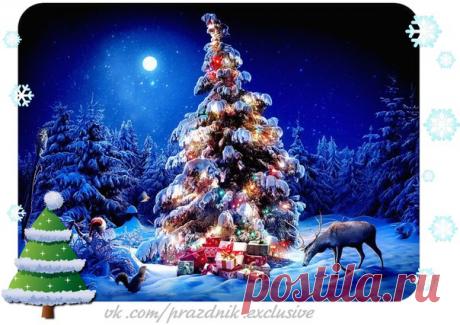 Еще один Новый год в твоей жизни – это лучший подарок Бога.