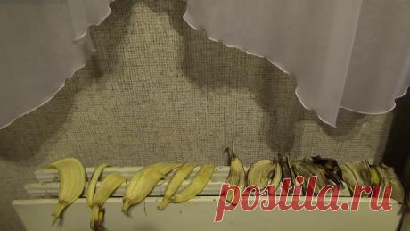 Банановые шкурки как удобрение и средство от вредителей