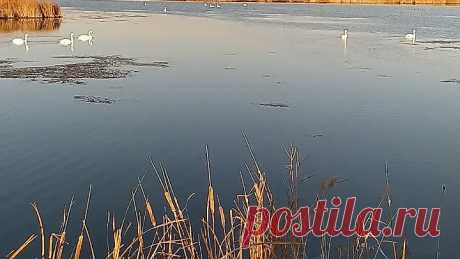 VID_20201013_091635.mp4