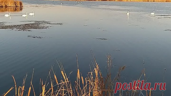 VID_20201013_091635.mp4
