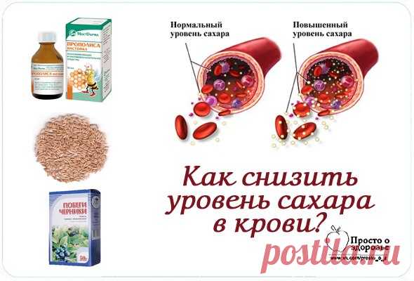Как снизить уровень сахара в крови? Здоровье — все новости (вчера, сегодня, сейчас) от 123ru.net