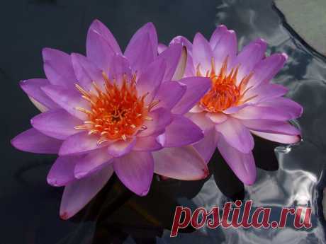 Редактировать описание