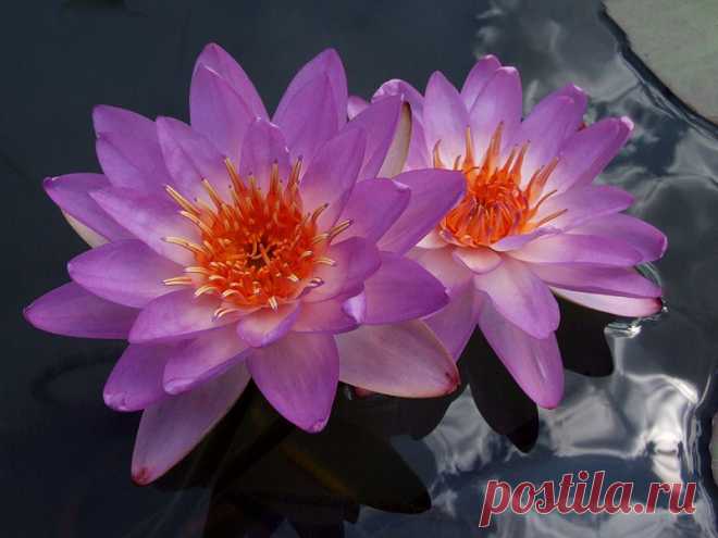 Редактировать описание