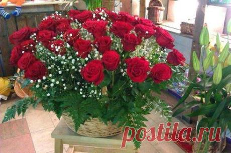 (72) Одноклассники
