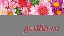 мозаика обои: 7 тыс изображений найдено в Яндекс.Картинках