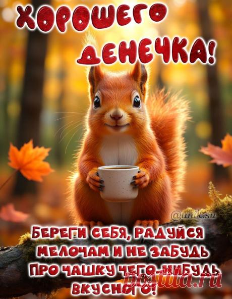 картинка хорошего прекрасного дня