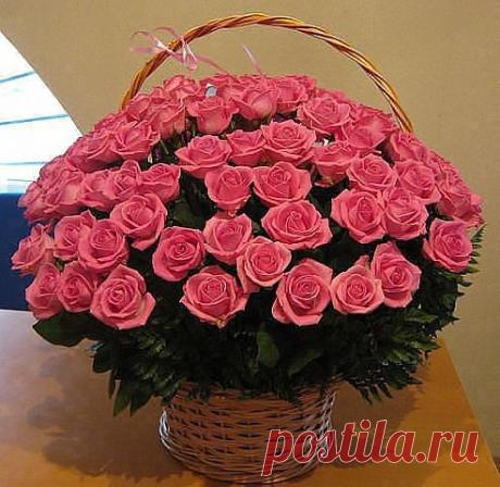 Красивые Цветы  Для Тебя