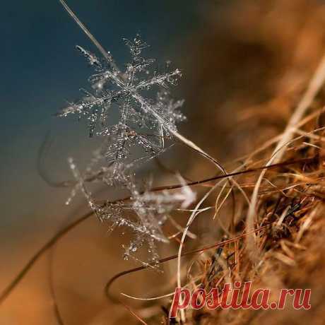СНЕЖИНКИ В МАКРО-! ВЫ БУДЕТЕ ПОРАЖЕНЫ! | ВЗГЛЯНИ НА МИР С ИНТЕРЕСОМ