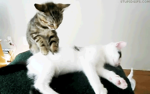 Мой Мир@Mail.Ru