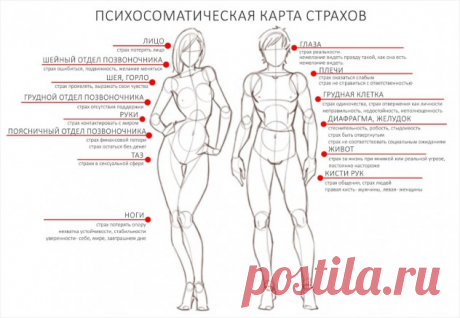 Тело помнит все: где прячутся переживания 
“Тело помнит все” – так звучит один из законов телесно-ориентированной психотерапии.
Телом сохраняются все воспоминания и пережитые нами эмоции. Чувства и страхи, которые человек игнорирует, выливается в проблемы со здоровьем и если продолжать не обращать на них внимания – таких проблем будет прибавляться все больше.