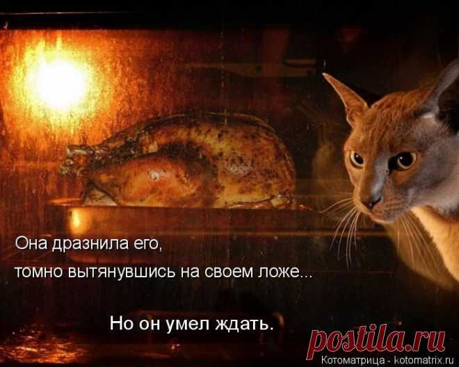 Позитив на пятницу