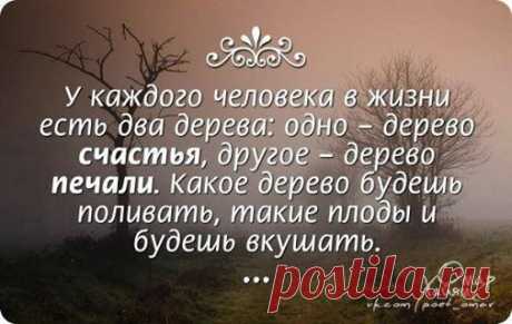 София Богомильская