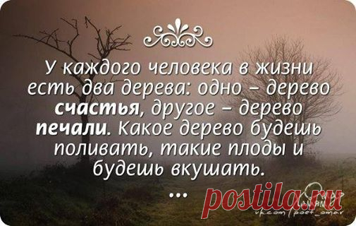 София Богомильская