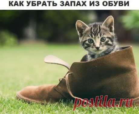 Google+