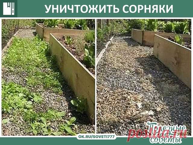 УНИЧТОЖИТЬ СОРНЯКИ

Чтобы уничтожить сорняки без гербицидов, используйте соль и уксус. Приготовьте раствор: . 1 литр уксуса обычного  9%  + ,примерно 1 стол лож соли и несколько капель гала (фери)  для жирной посуды. Хорошо перемешайте. Побрызгайте из обычной пшикалки, Утром вся трава засохнет.   

Эффективнее всего эта смесь работает в жаркий, солнечный день, когда дождя не ожидается, по крайней мере, в течение 24 часов.

Опрыскайте сорняки утром, вечером вы уже порадуете...
