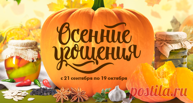 Письмо «Десерт из тыквы и другие осенние угощения с выгодой!» — ВЫРУЧАЙ-КА I Пятёрочка — Яндекс.Почта