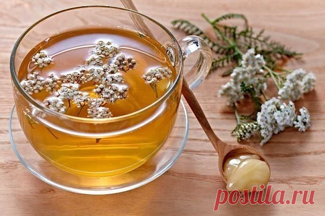 5 эффективных настоев от остеохондроза! | OK.RU