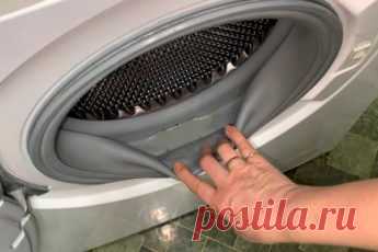 Век живи, век учись! Удалите плесень из стиральной машинки проверенным советом из советских времён