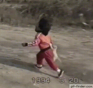 Интересно - 50 GIF-доказательств, что коты — чертовски весёлые ребята