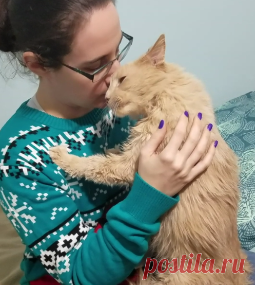 Кот не выпускает новых хозяев из объятий