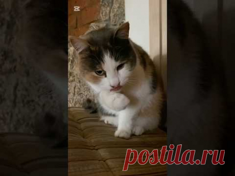 Отстань!
