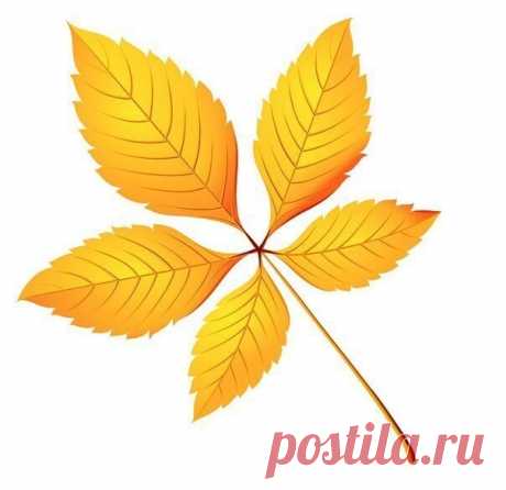 Шаблоны осенних листьев