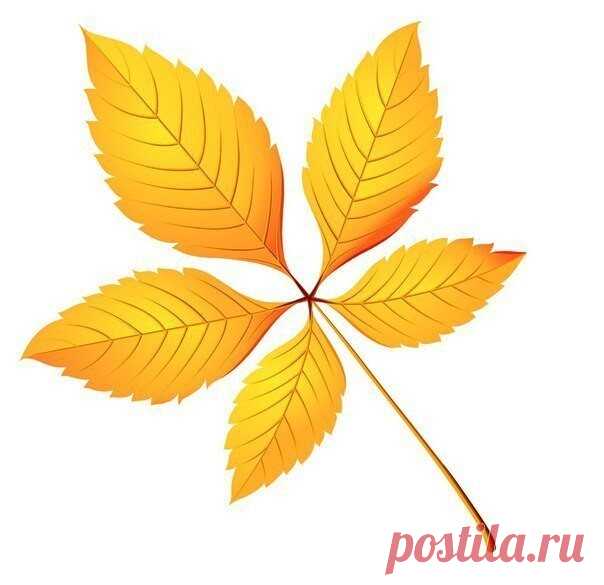Шаблоны осенних листьев