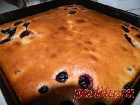 Пирог — сметанник | Блог сайта Muza.Name