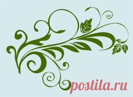 Фотографии на стене сообщества | 32 801 фотография