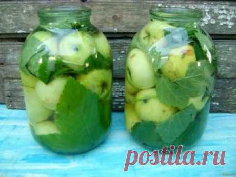 Яблоки моченые в 3-литровых банках подборка вкусных рецептов приготовления.