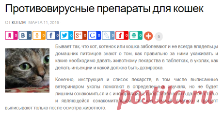 Противовирусные препараты для кошек в таблетках, инъекции, при ринотрахеите, фоспренил, от простуды, при болезнях глаз, кальцивирозе | Котизм