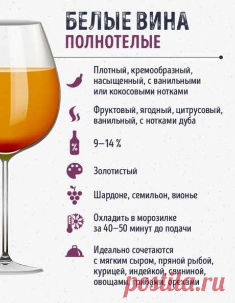 Учимся правильно разбираться в винах - Все для Вас!