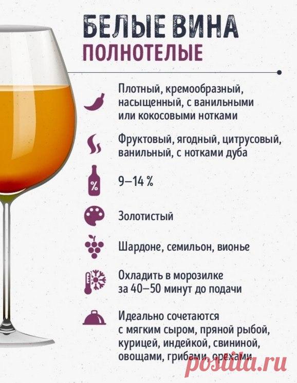 Учимся правильно разбираться в винах - Все для Вас!