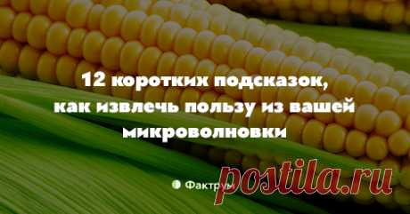 12 коротких подсказок, как извлечь пользу из вашей микроволновки • Фактрум