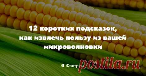 12 коротких подсказок, как извлечь пользу из вашей микроволновки • Фактрум