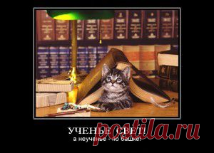 Наглядные изображения основных законов математики! (ну очень забавно!)