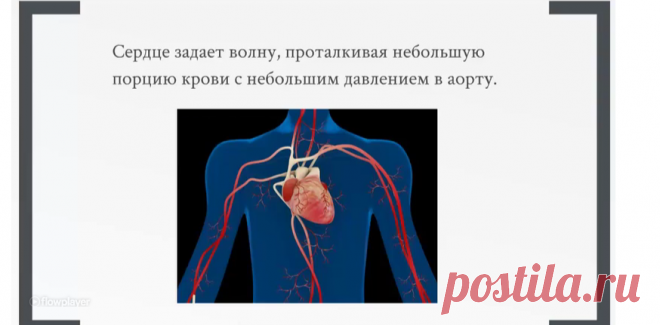 Видео - Гимнастика Даоинь | Секреты Китайской Медицины