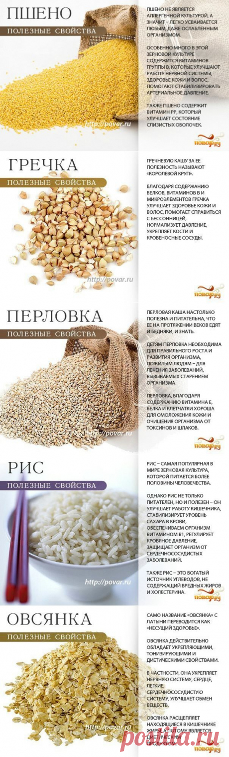 ПОЛЬЗА КРУП - ВАЖНО ЗНАТЬ!
