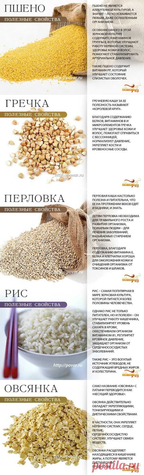 ПОЛЬЗА КРУП - ВАЖНО ЗНАТЬ!
