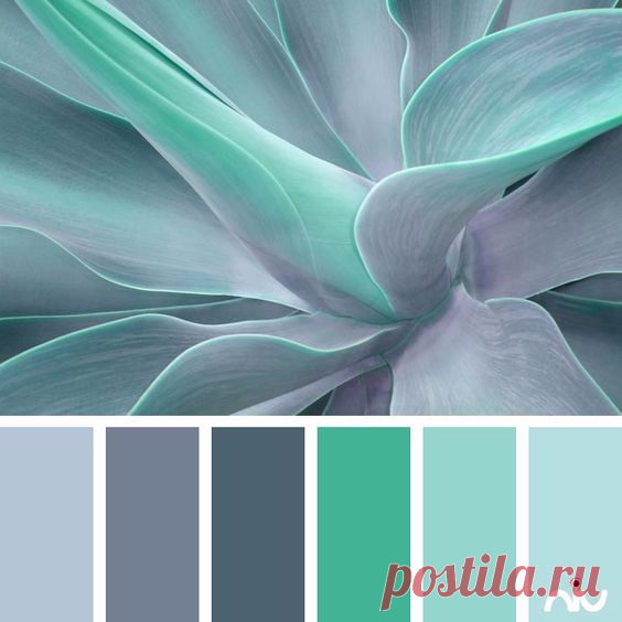(754) Pinterest