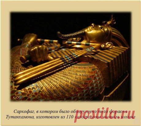 Интересные факты обо всём на свете - Наука и жизнь