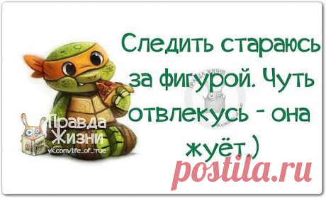 Александр: живу в Анжеро-Судженске работаю водителем